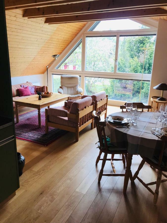 Apartament Jizerka Unterwasser Zewnętrze zdjęcie